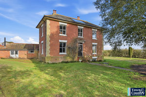 THE HAWK- click for photo gallery